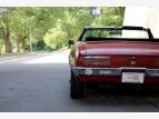 Thumbnail Photo 9 for 1967 Pontiac Firebird Convertible